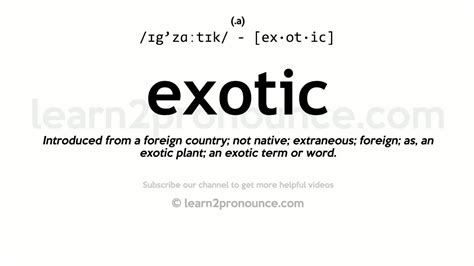 what does excotic mean|Exotic Definition & Meaning .